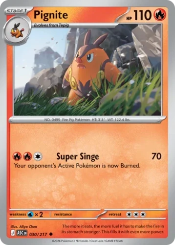 Przejdź do produktu ASC 030/217 | Pignite Zwykła | Pokemon - Ascended Heroes