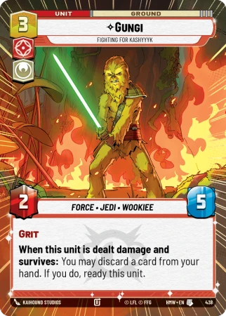skn-3041d09e0aec9de2ae9b6161.png